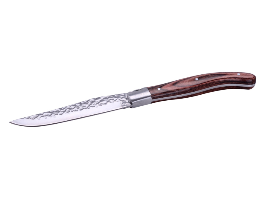 Steakmessen Laguiole Viande de Choix 6 Stuksproduct image #2
