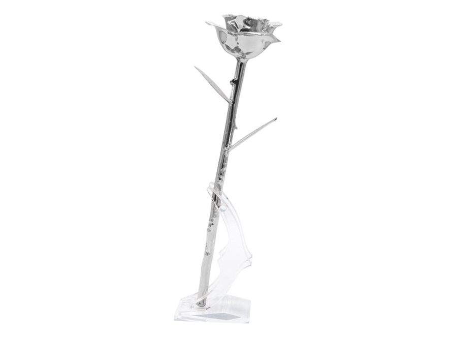 Platina Roos Aphroditeproduct image #4