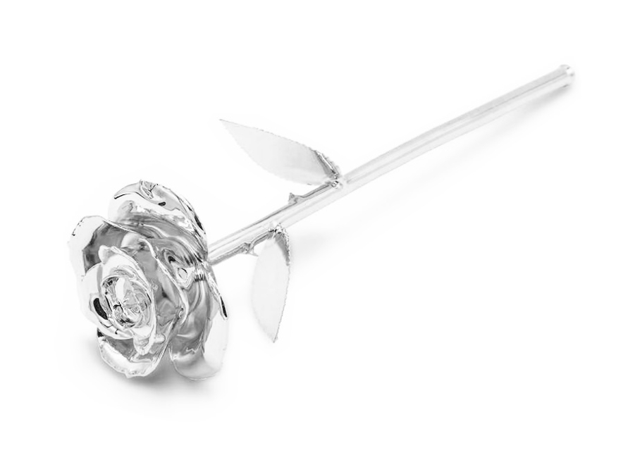 Zilveren Roos Aphroditeproduct image #1