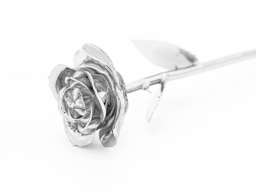 Zilveren Roos Aphroditeproduct image #3