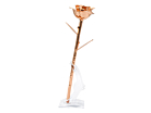 Roségouden Roos Aphroditeproduct thumbnail #5